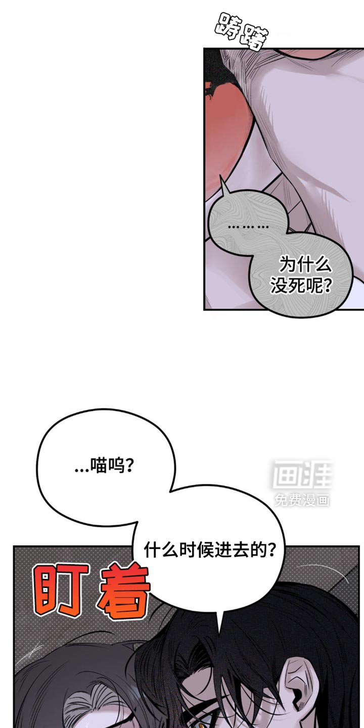 第19章：它们憎恨我