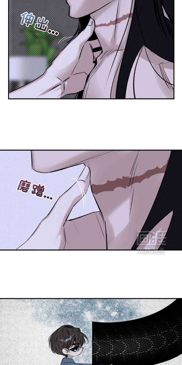 第19章：它们憎恨我