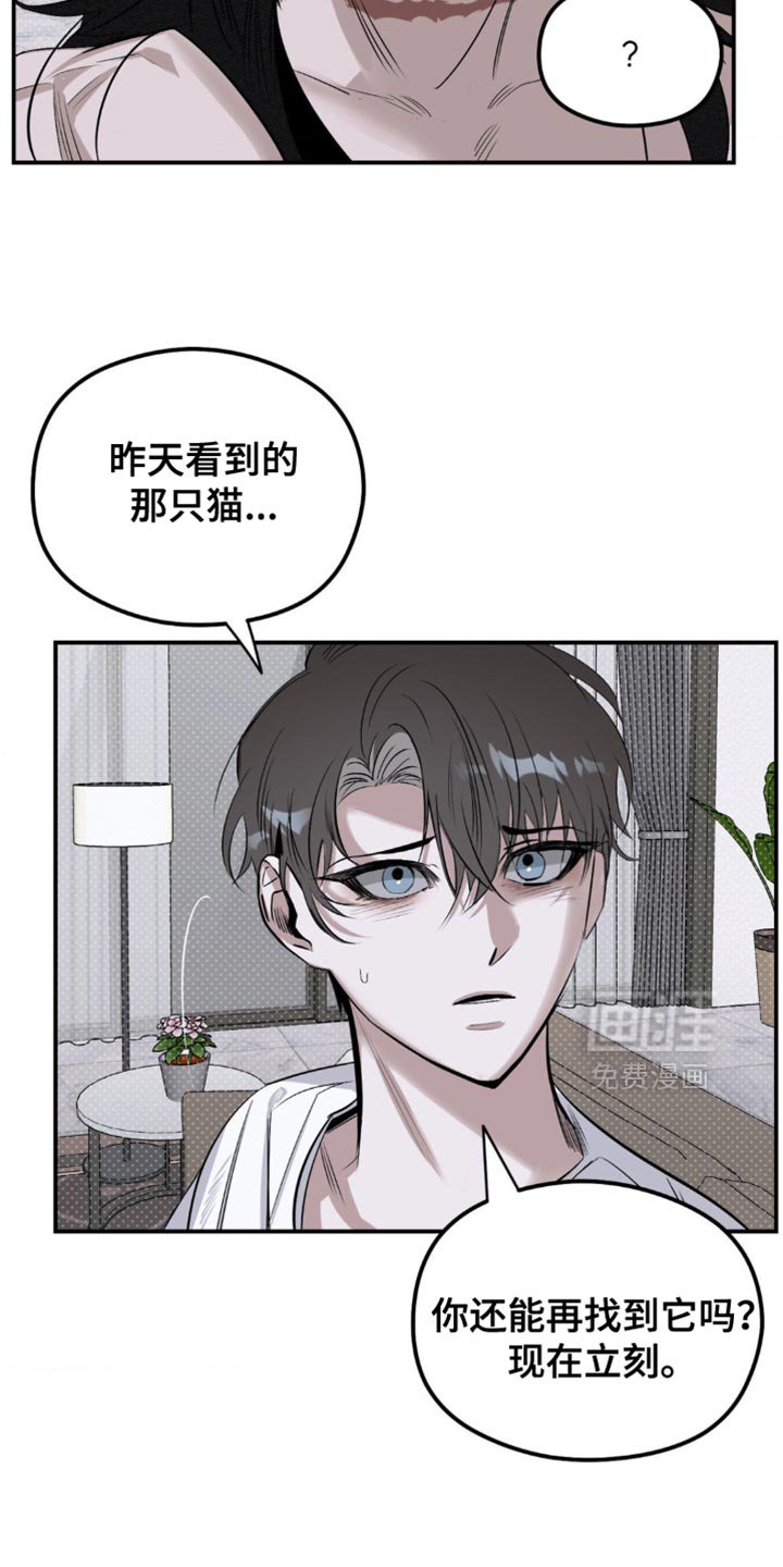 第19章：它们憎恨我