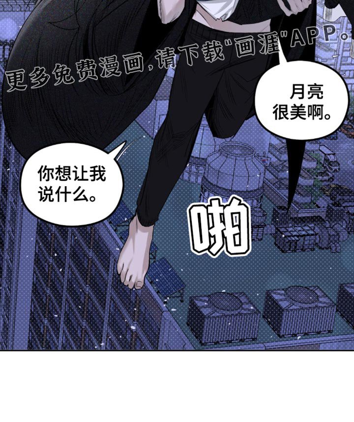 第19章：它们憎恨我