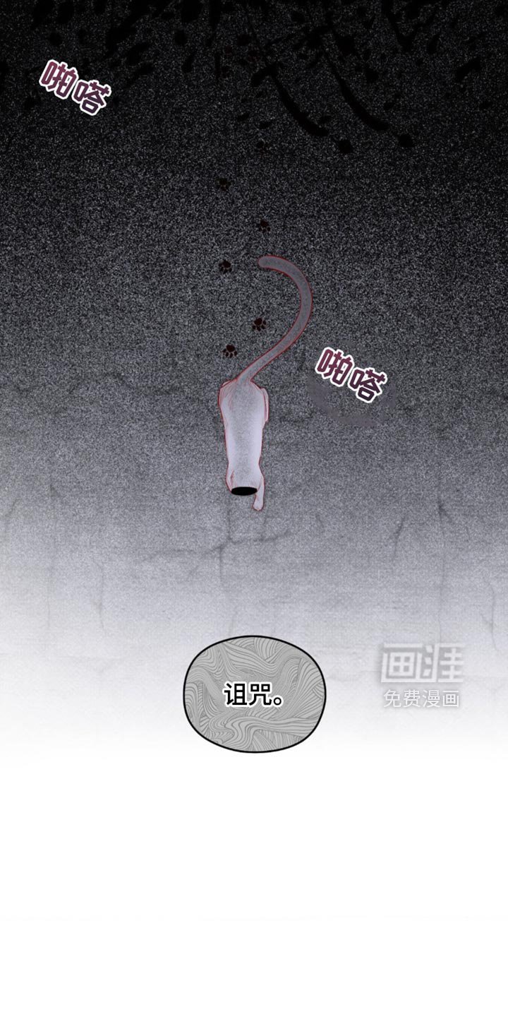 第20章：所以我才害怕