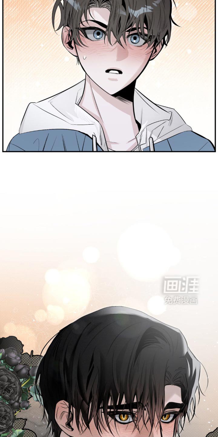 第24章：很适合你