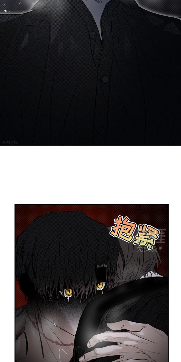 第29章：遭受痛苦