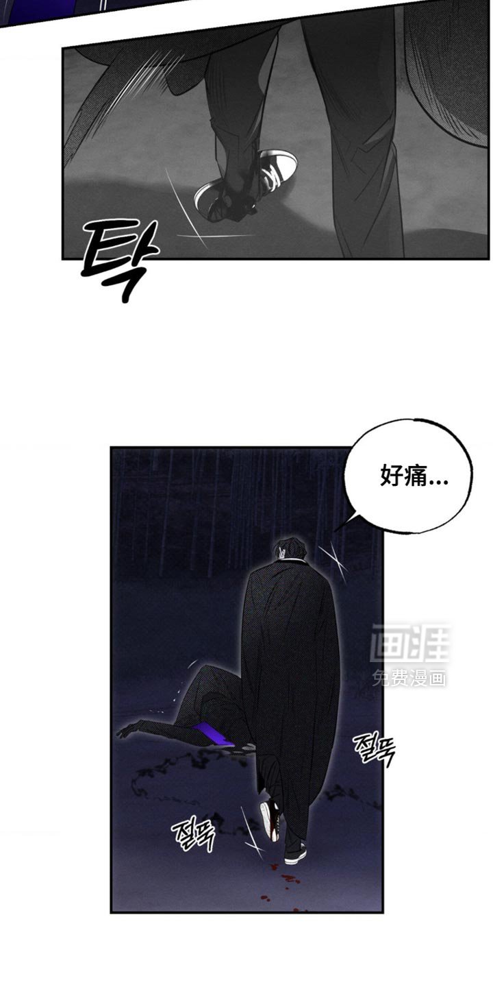 第45章：想起来了