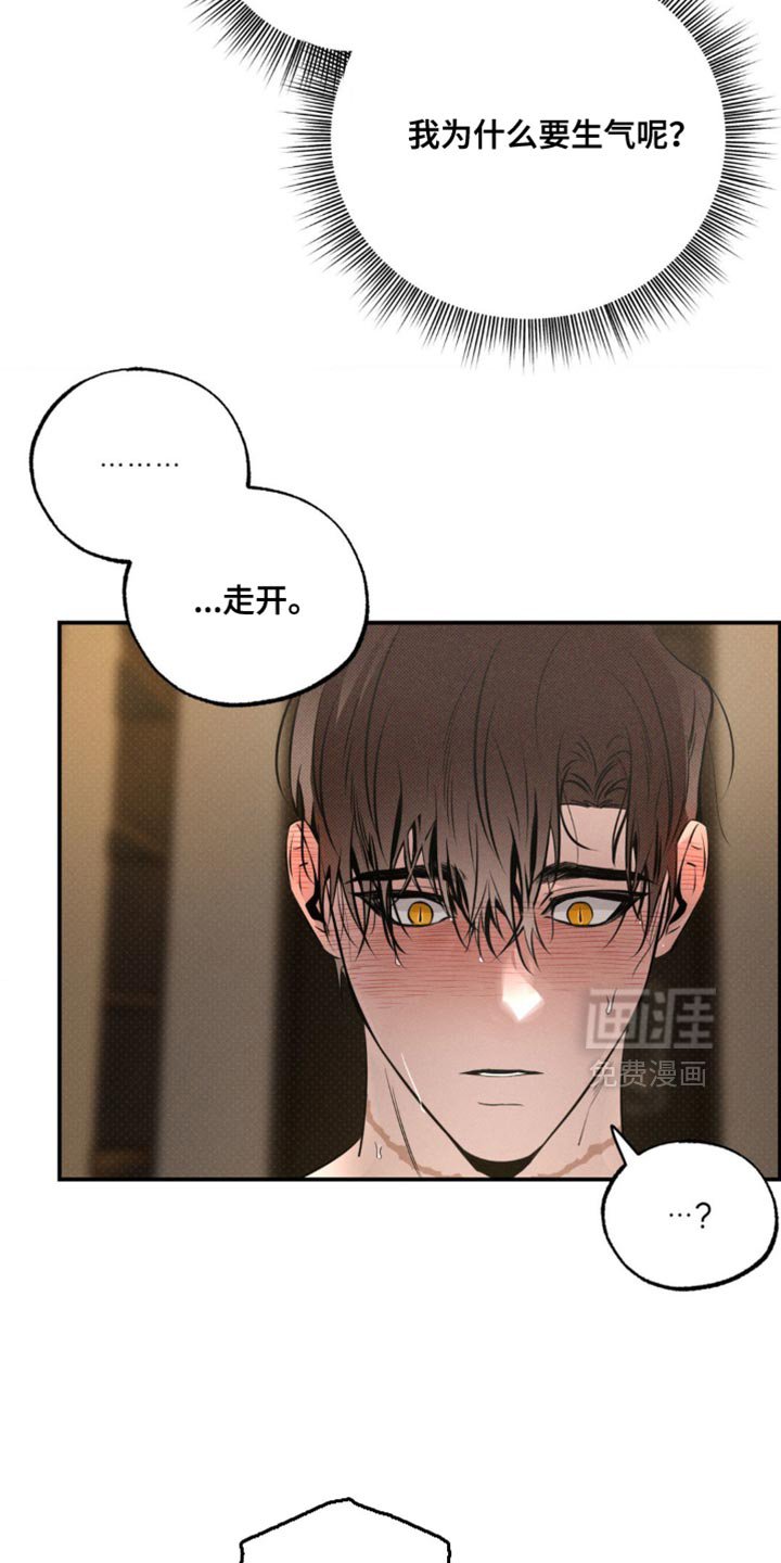 第46章：生气
