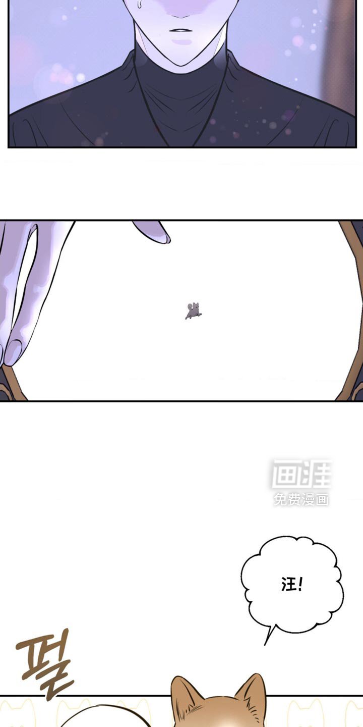 第50章：所有的记忆