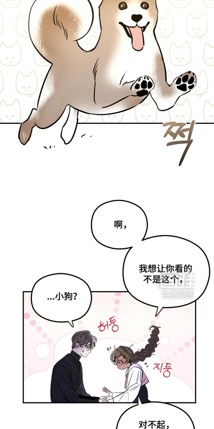 第50章：所有的记忆