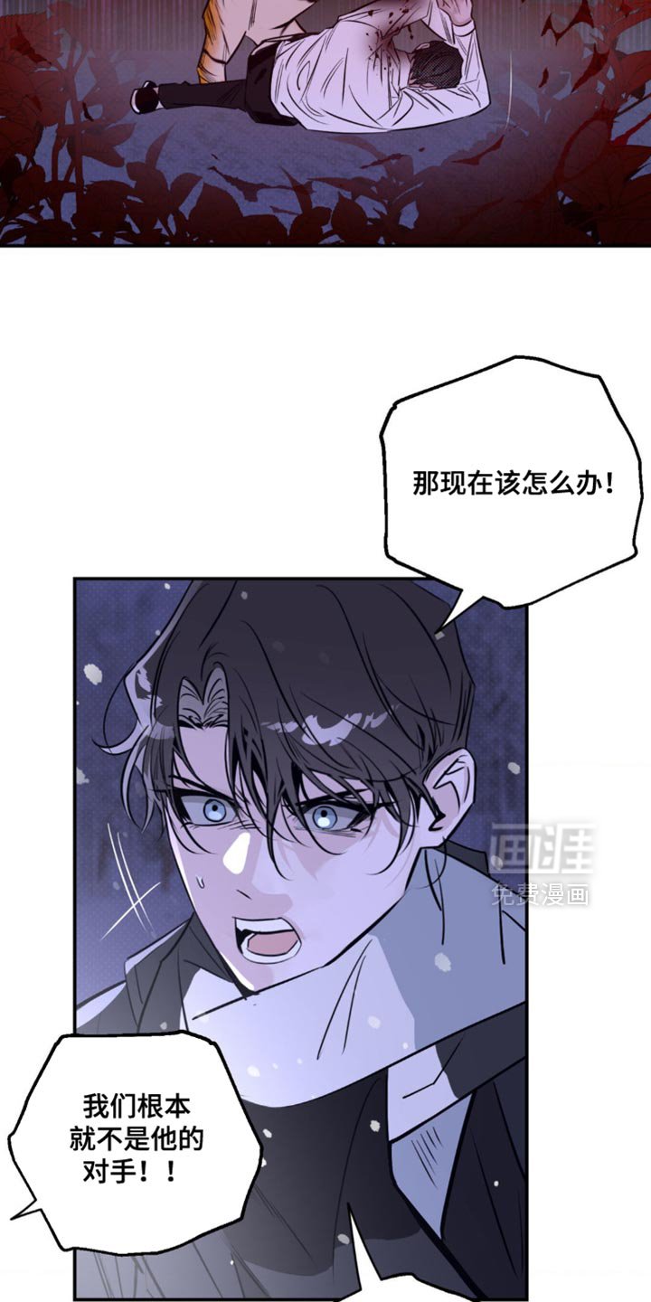 第52章：我已经驯服好了