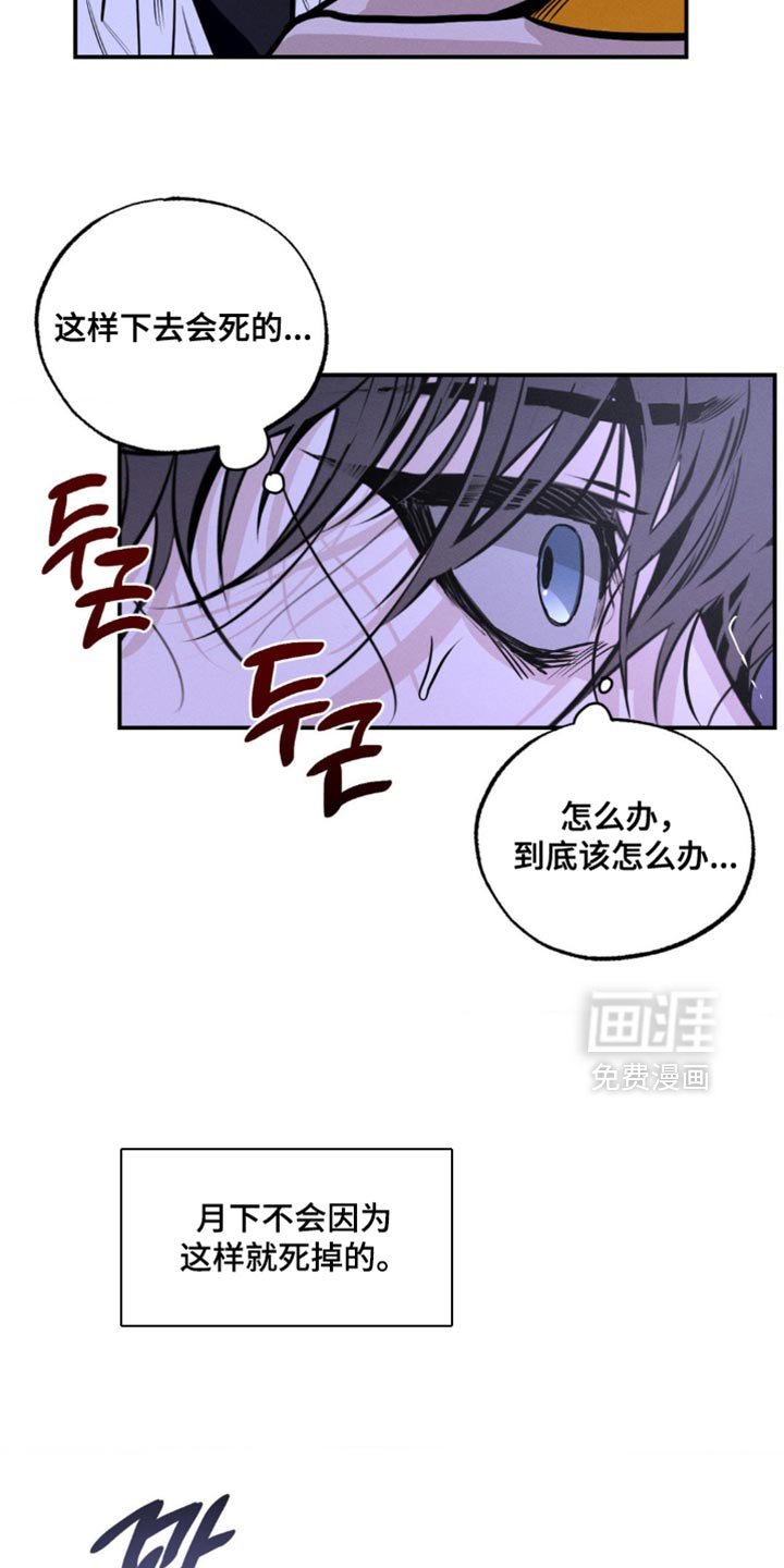 第53章：分解吧