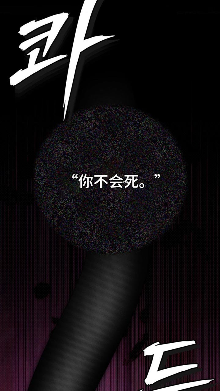 第53章：分解吧