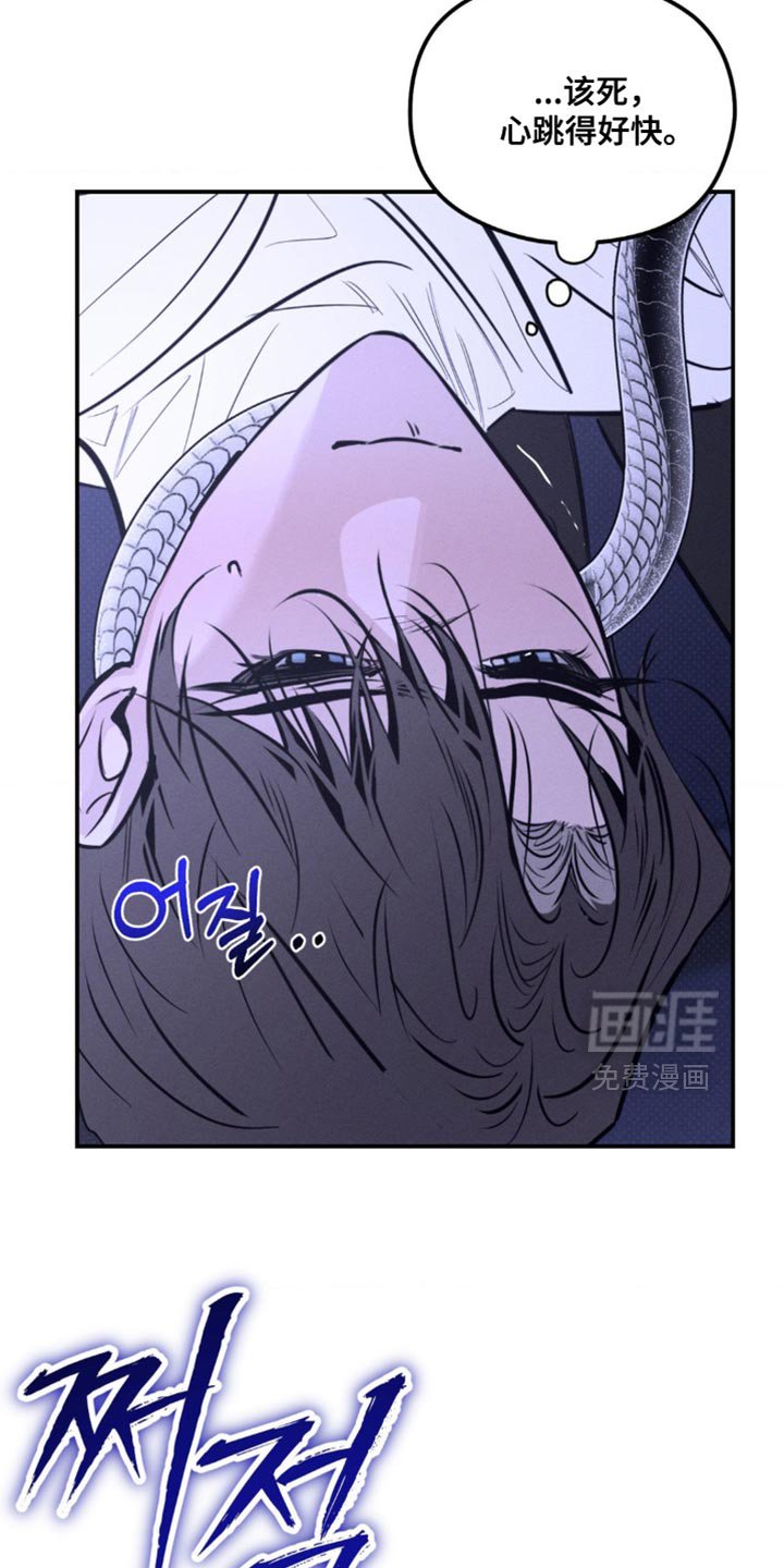 第56章：非常了解