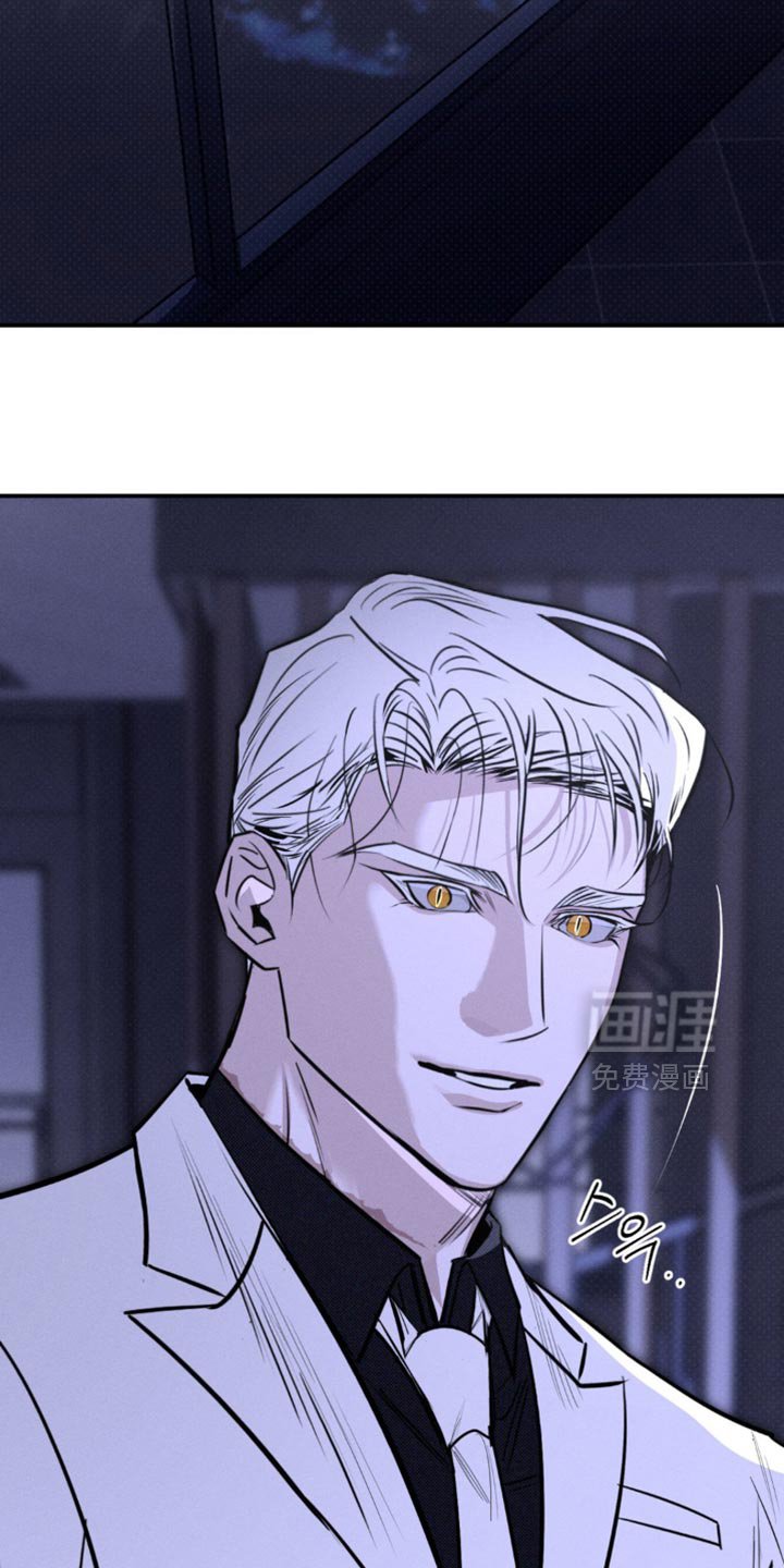 第56章：非常了解