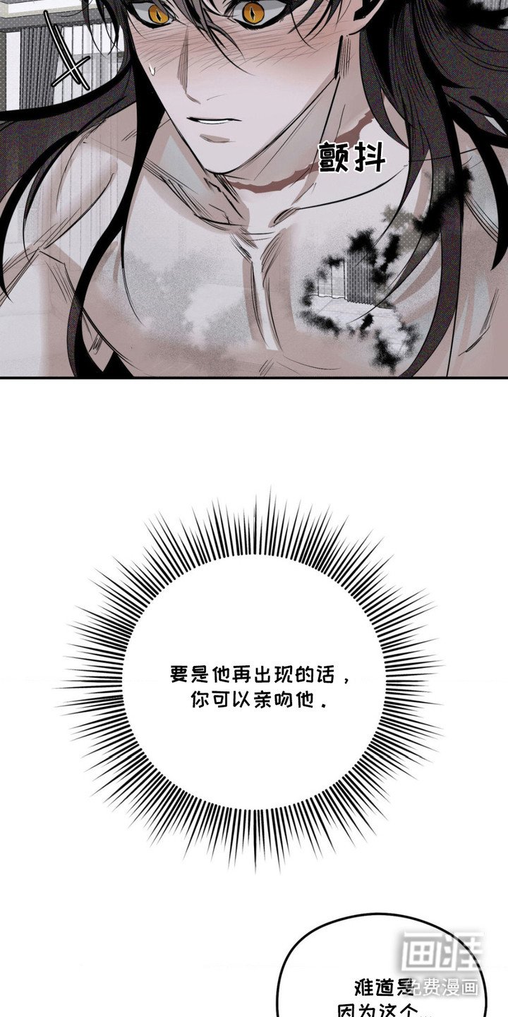 第8章：心软