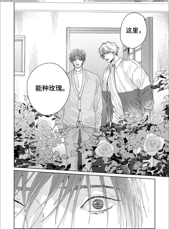 第15章：能种的玫瑰