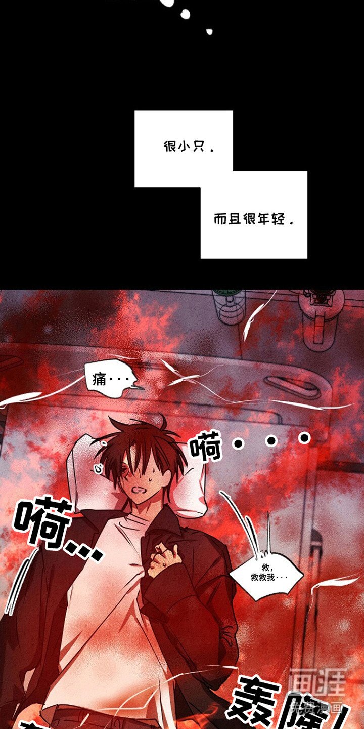 第25章：不允许的苏醒