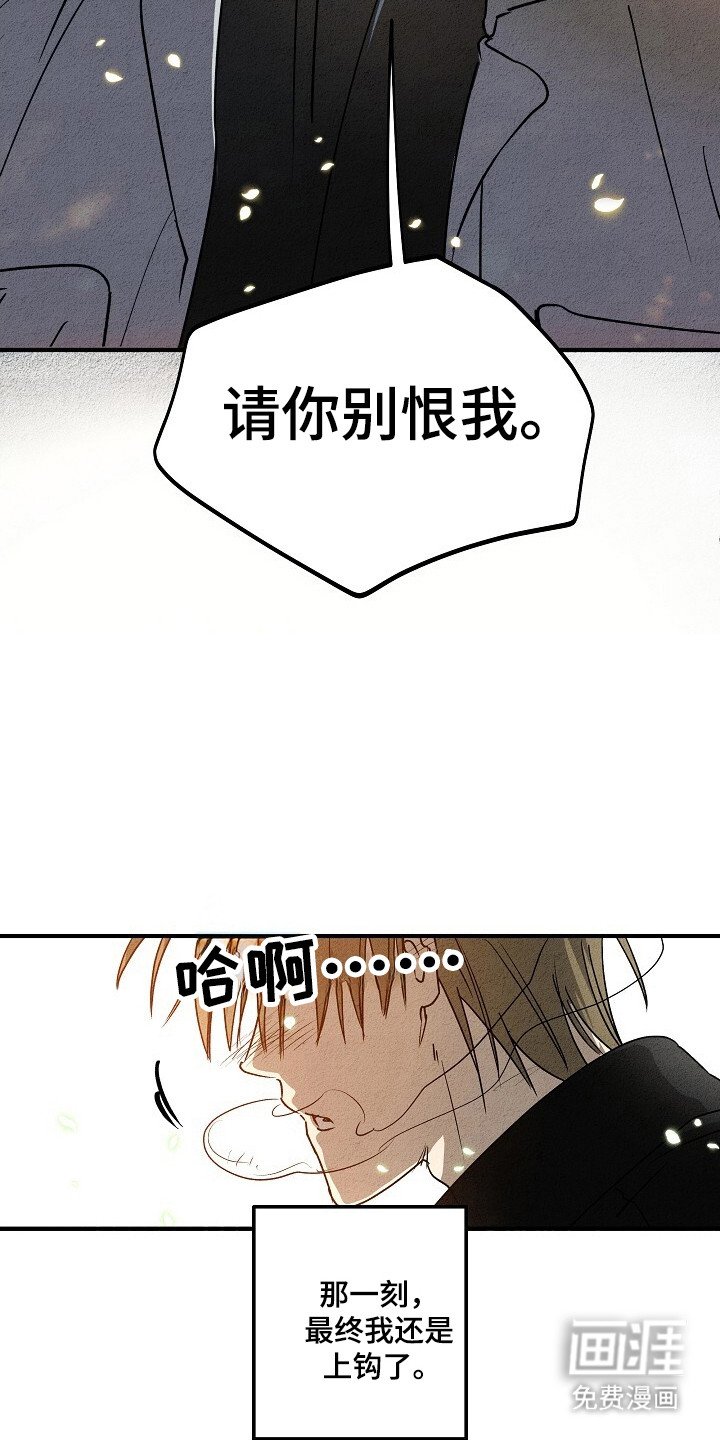 第31章：上钩