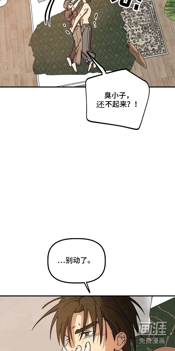 第31章：上钩