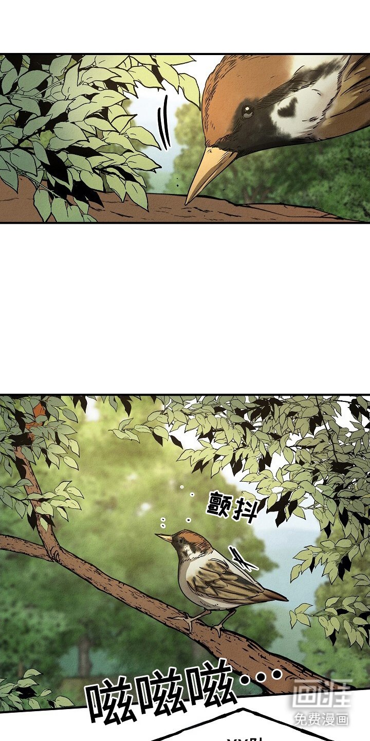 第33章：安全归队