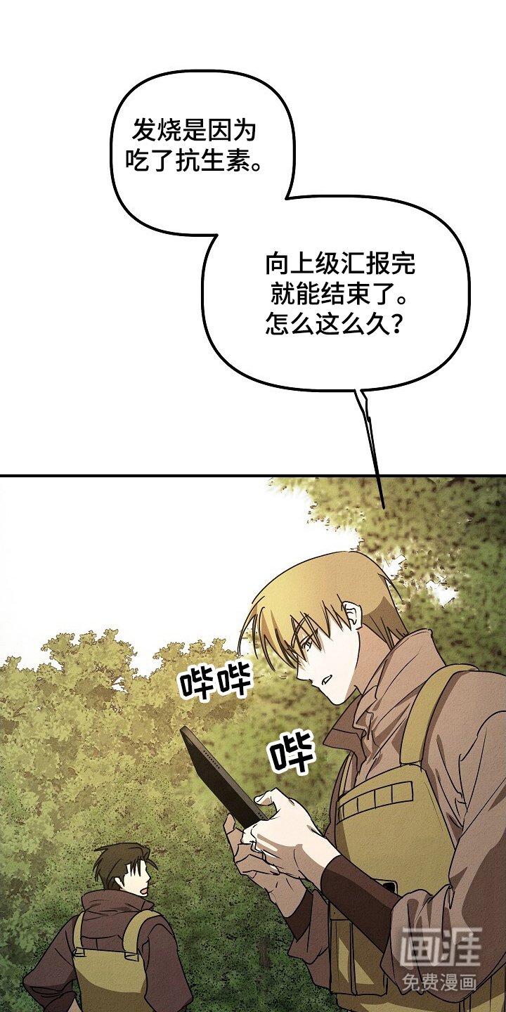 第33章：安全归队