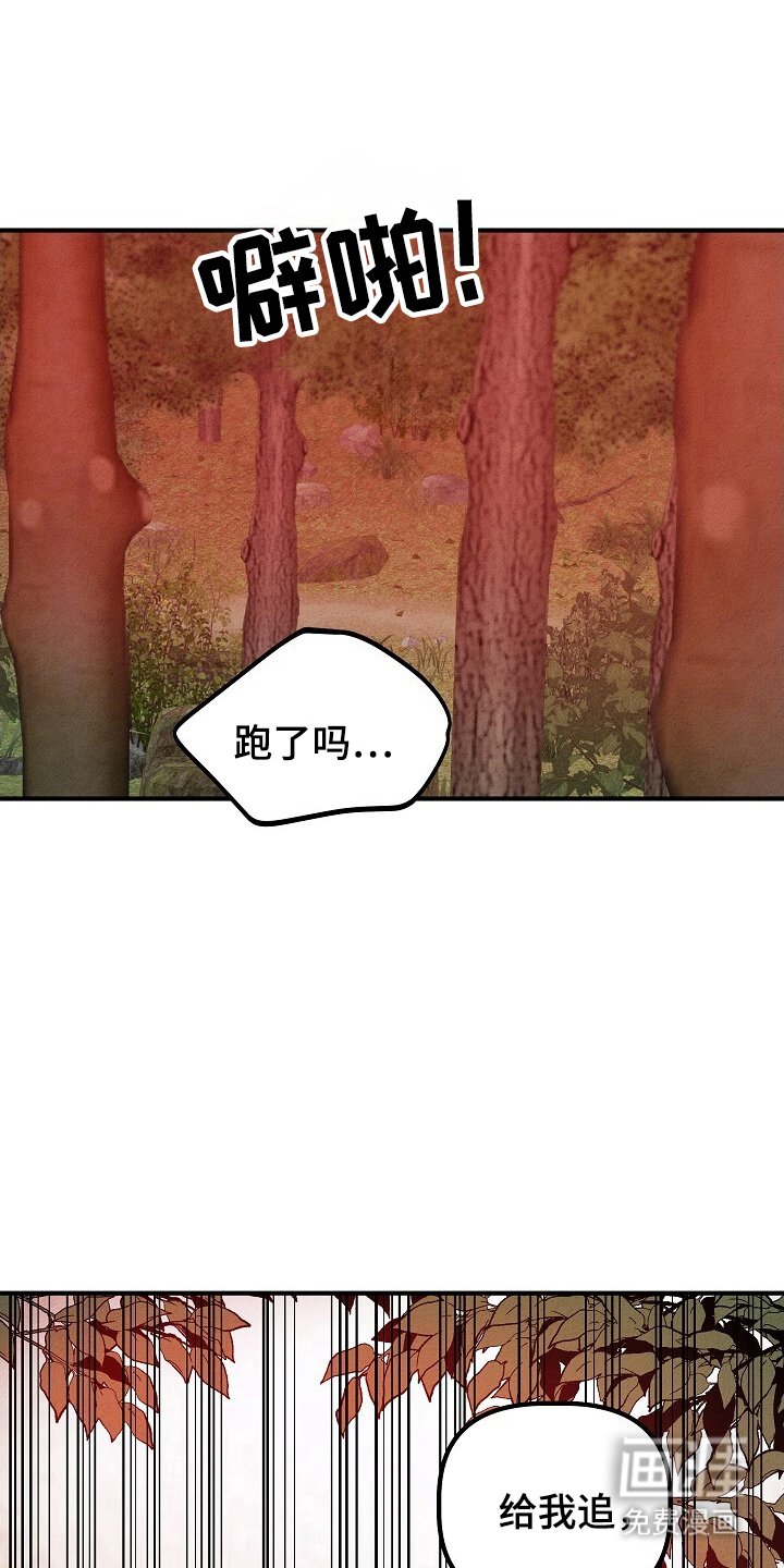 第34章：抓回