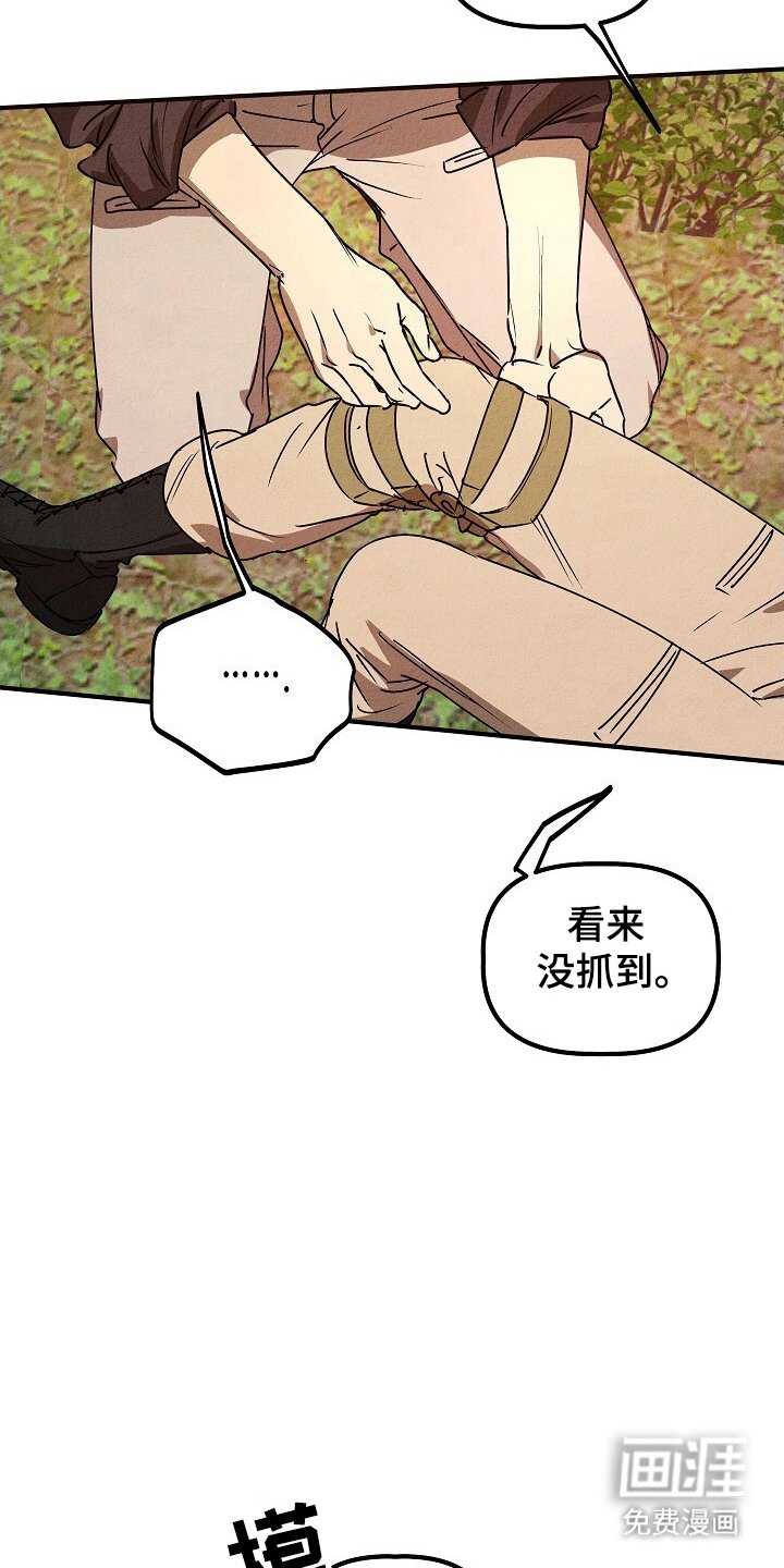 第34章：抓回