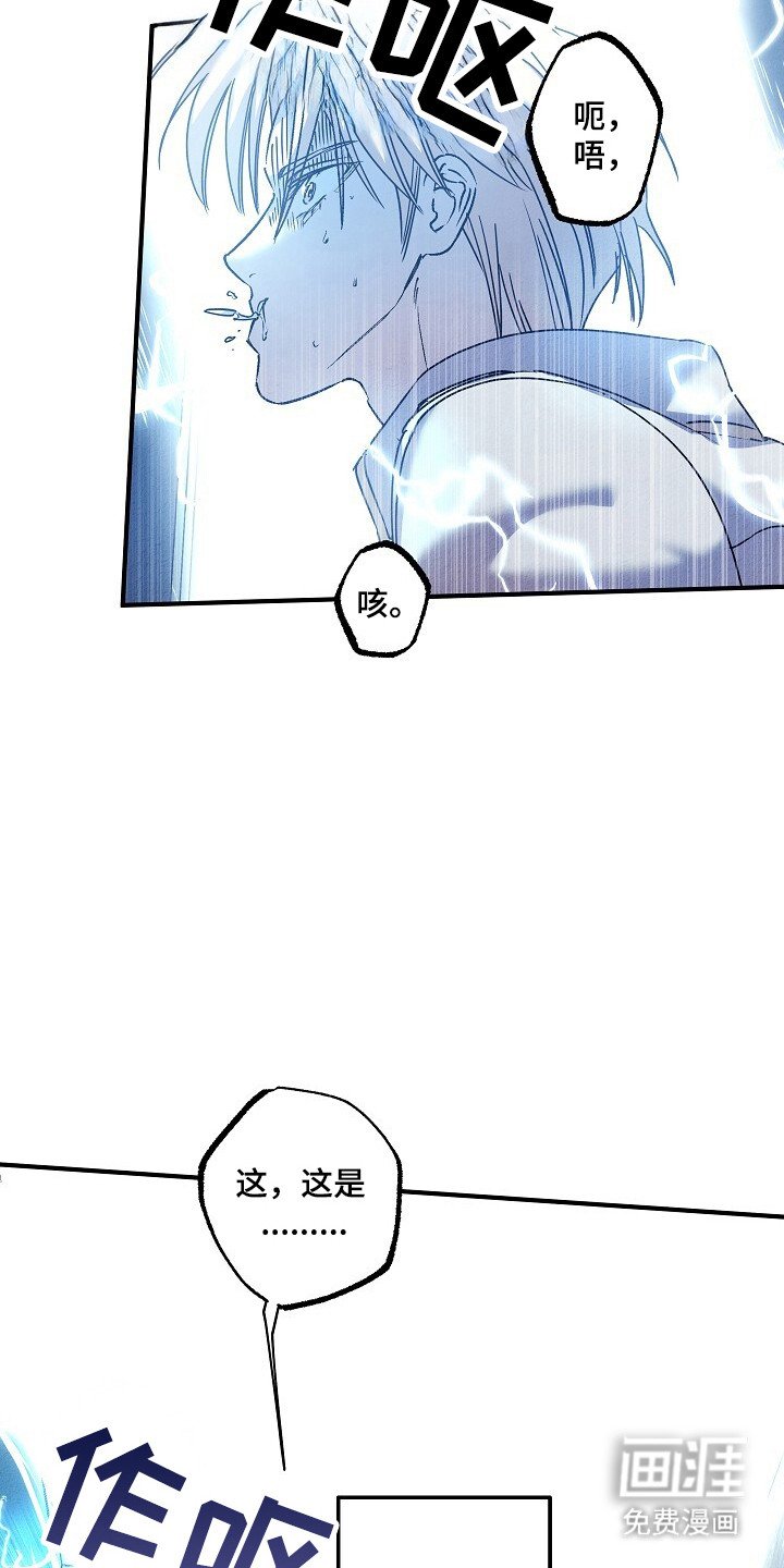 第41章：神秘人