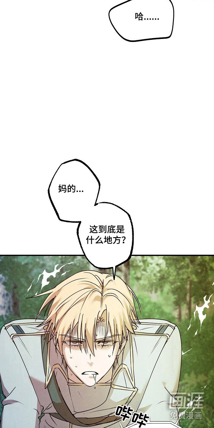 第41章：神秘人
