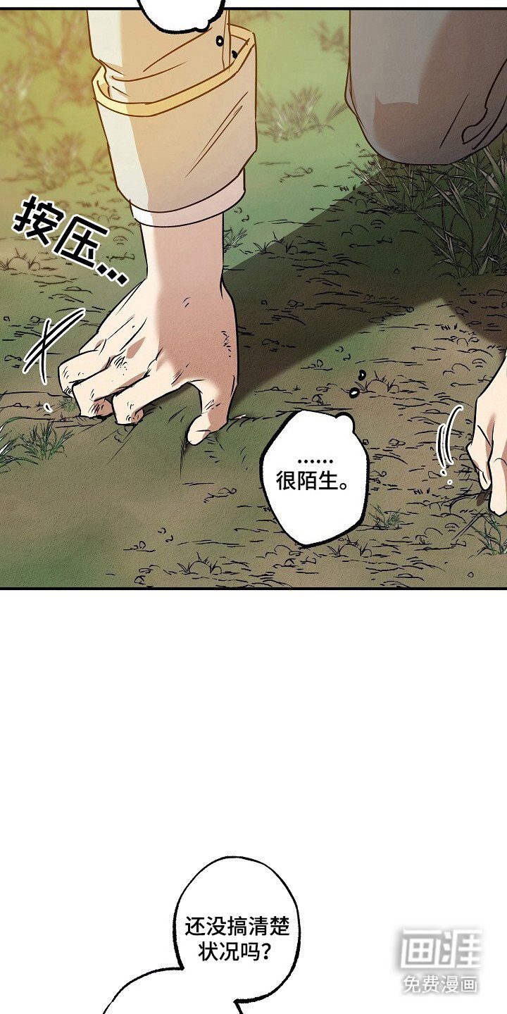 第41章：神秘人