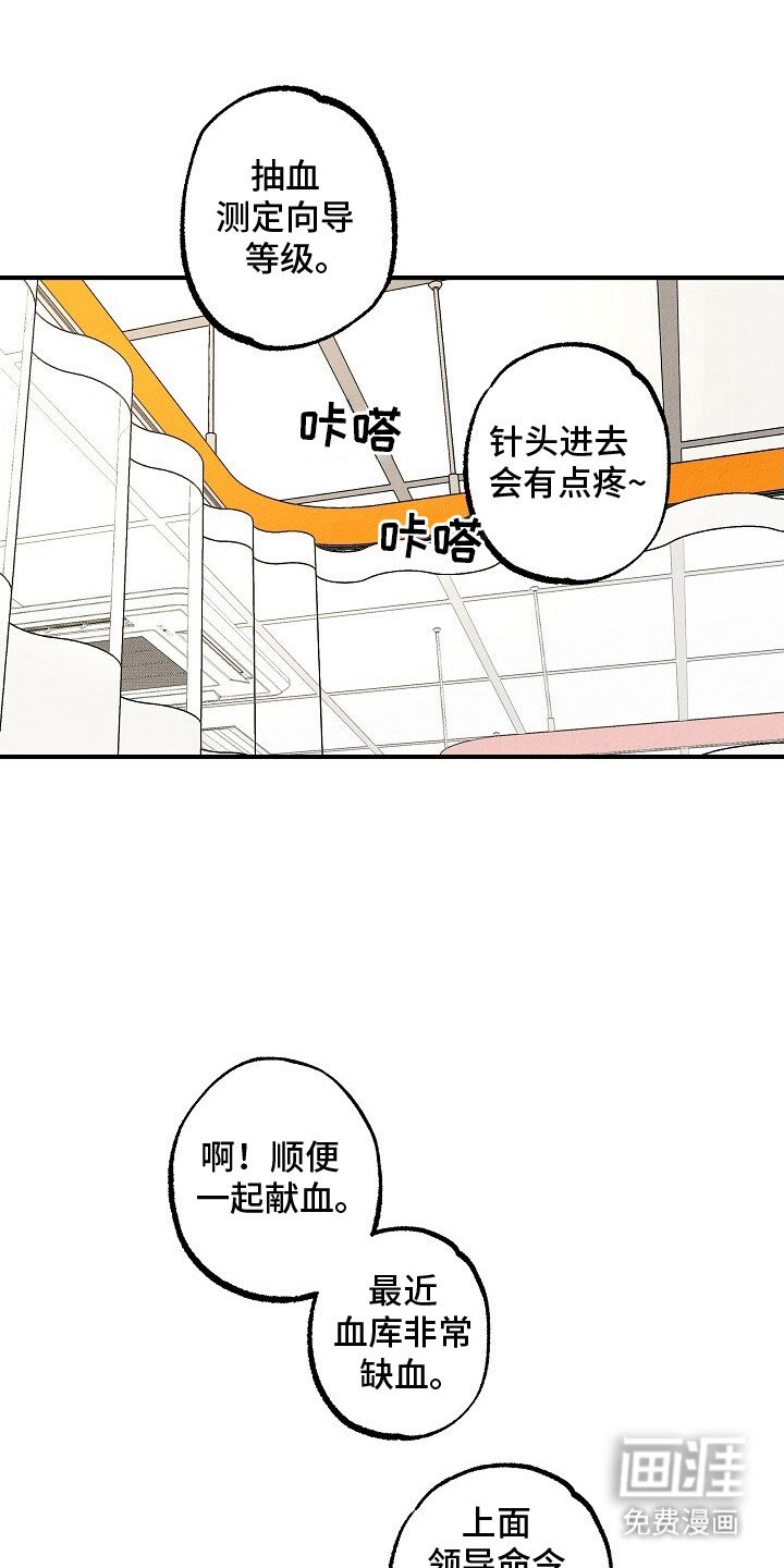 第44章：等待结果