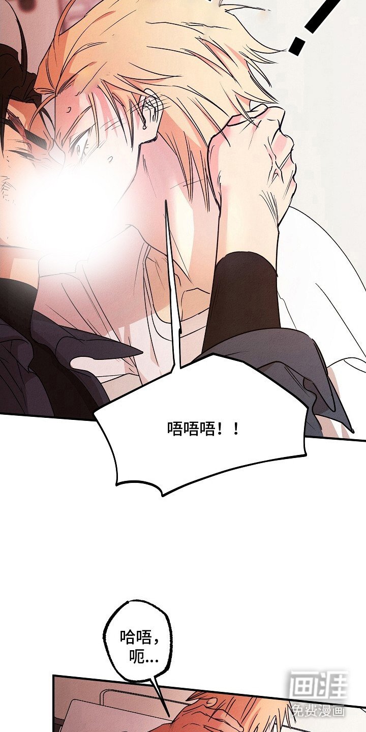 第46章：契合数值