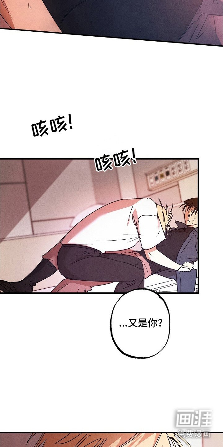 第46章：契合数值