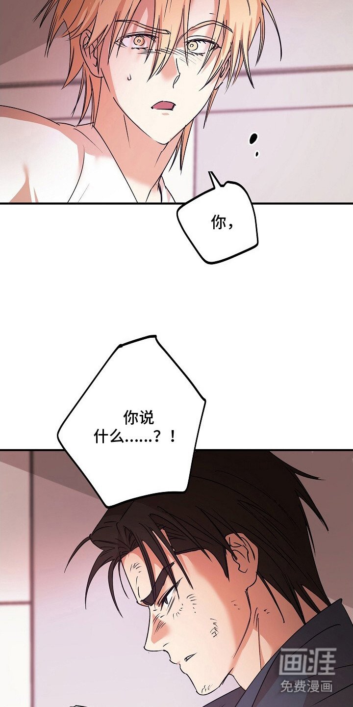 第46章：契合数值
