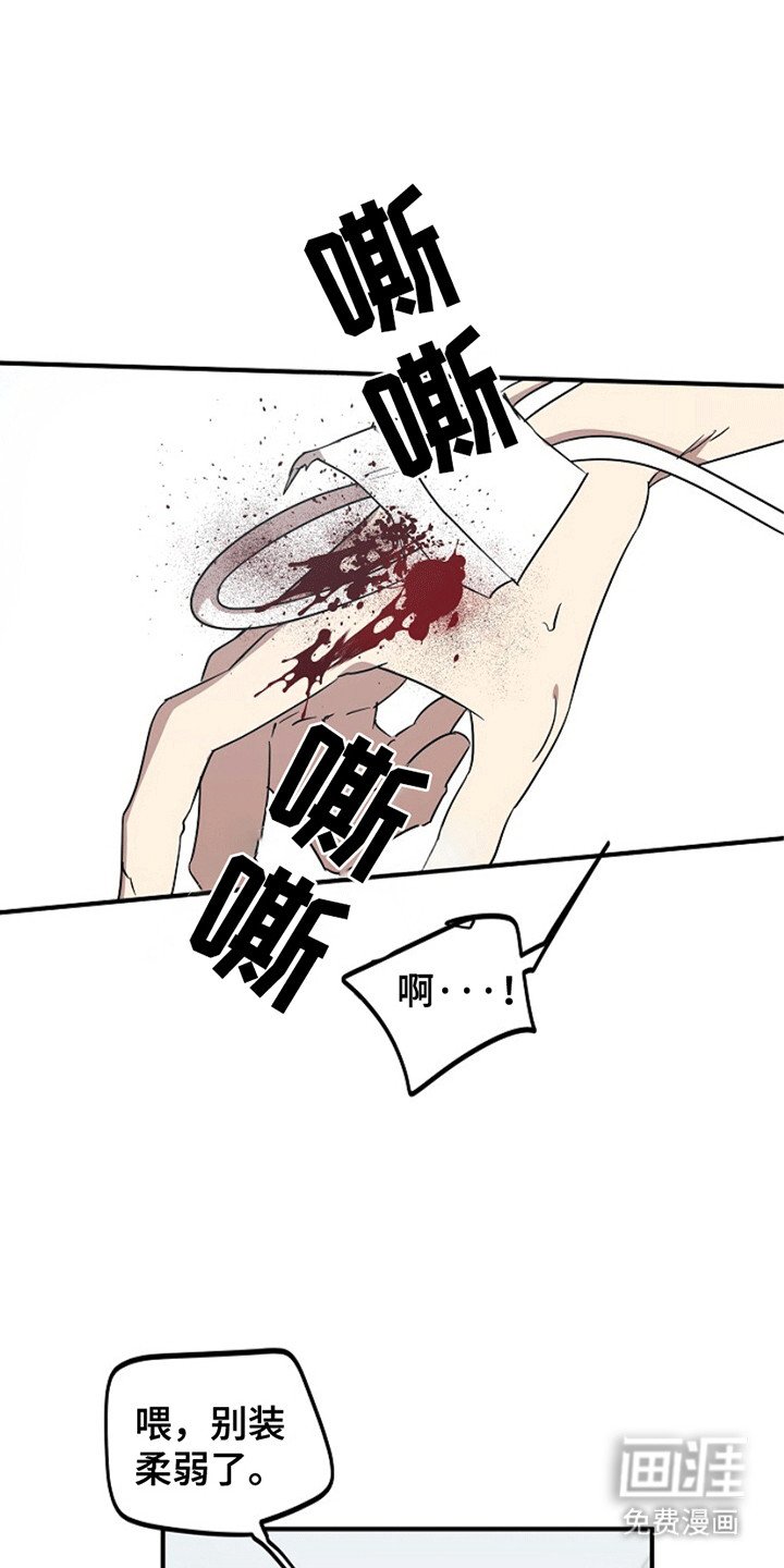 第7章：带走