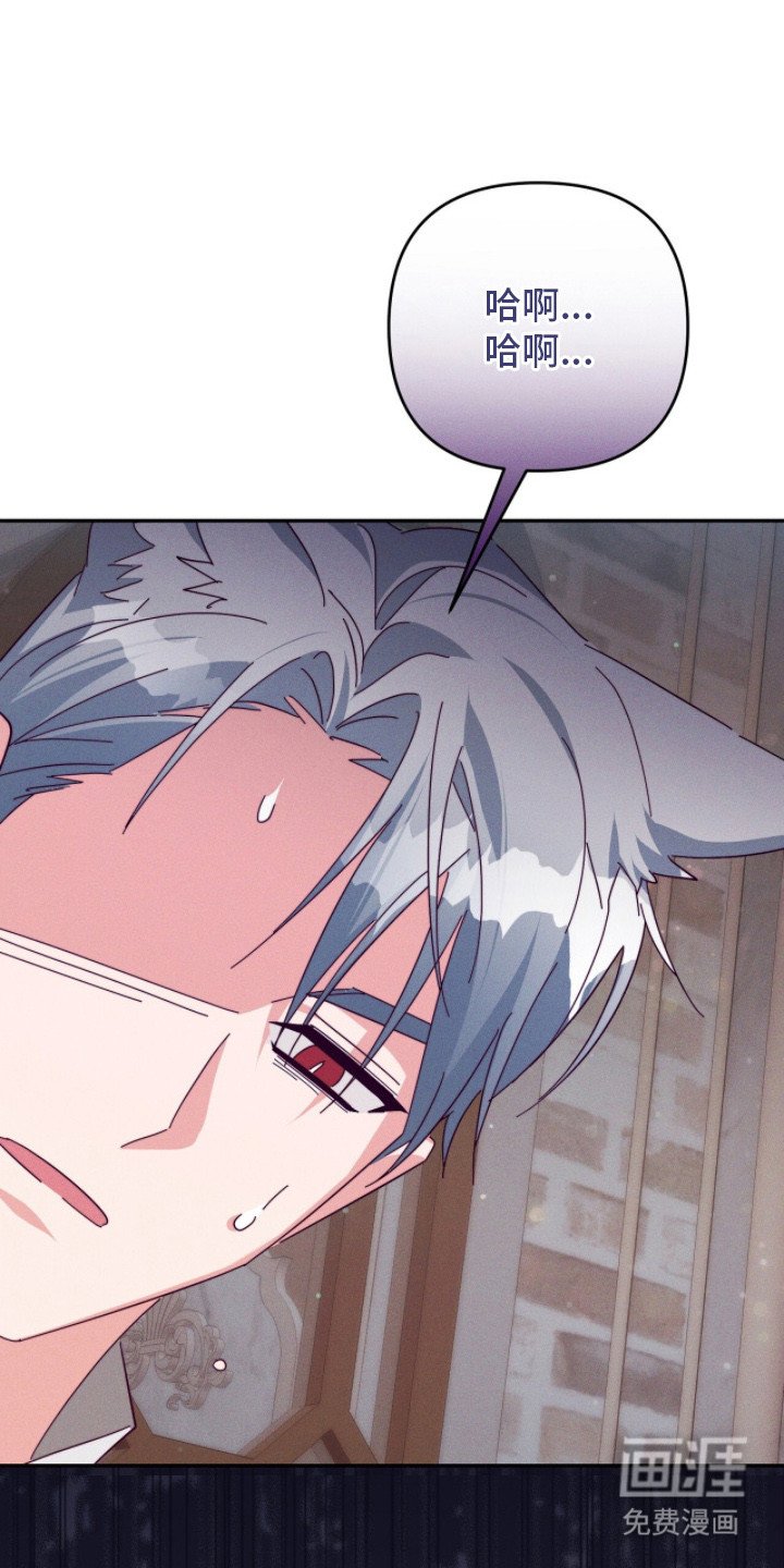 第11章：小说改编