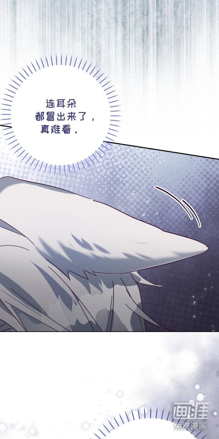 第11章：小说改编