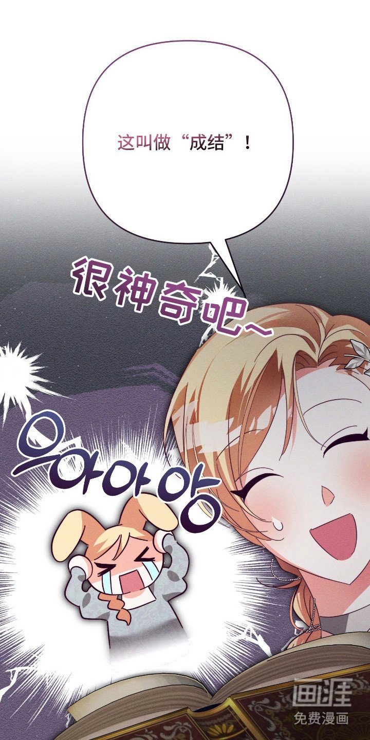 第15章：狼的伴侣