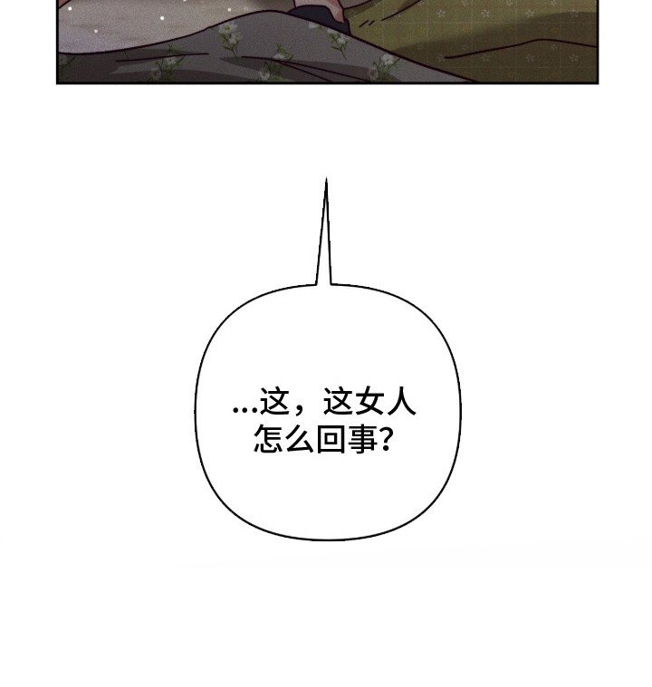 第16章： 辅佐官
