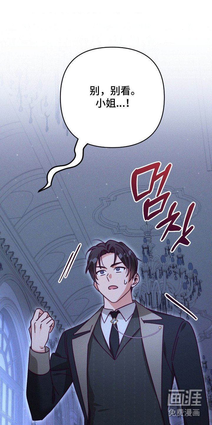 第17章：幻想