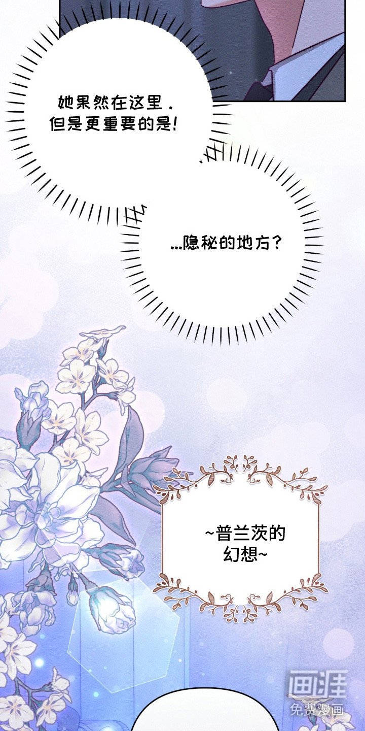 第17章：幻想
