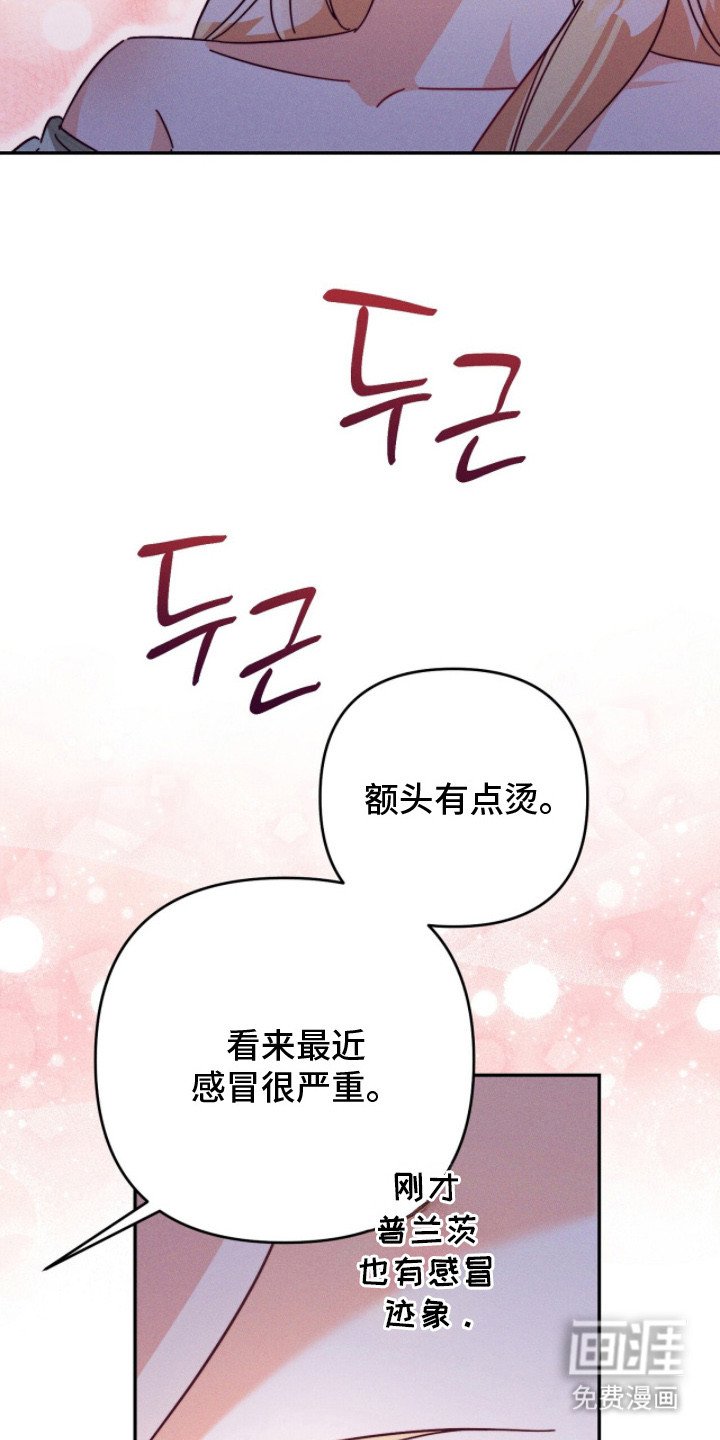 第19章：味道