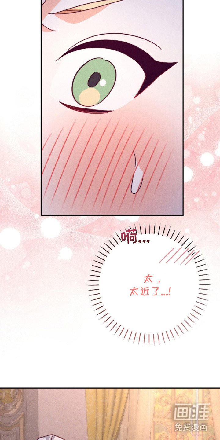 第19章：味道