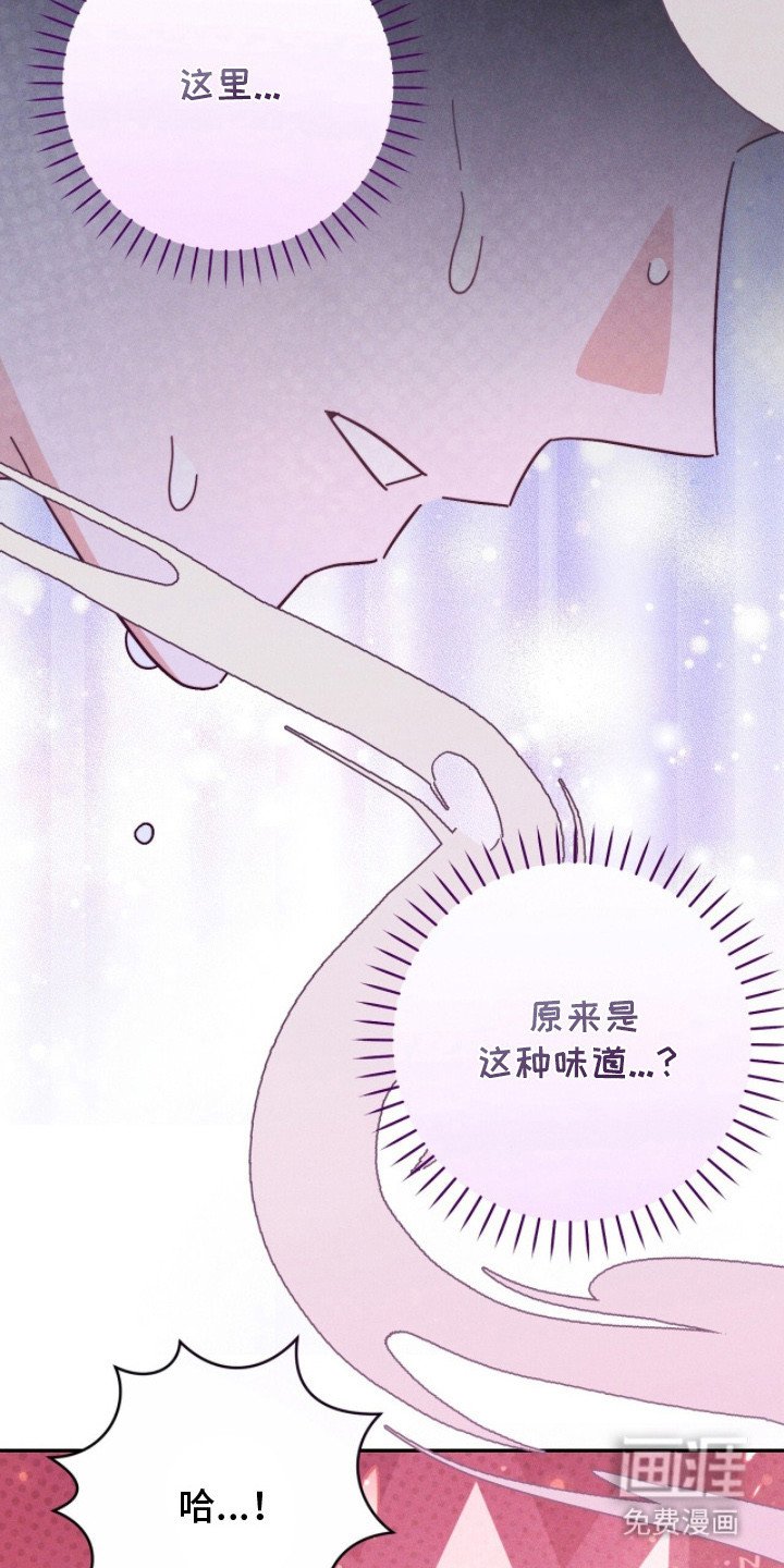 第19章：味道