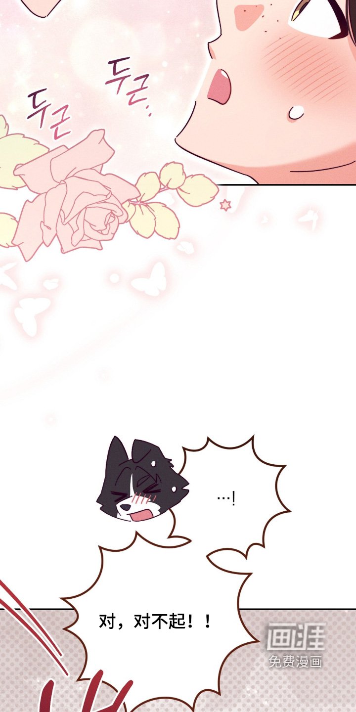 第21章：站住