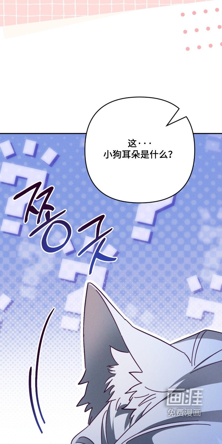 第29章：我是狼人