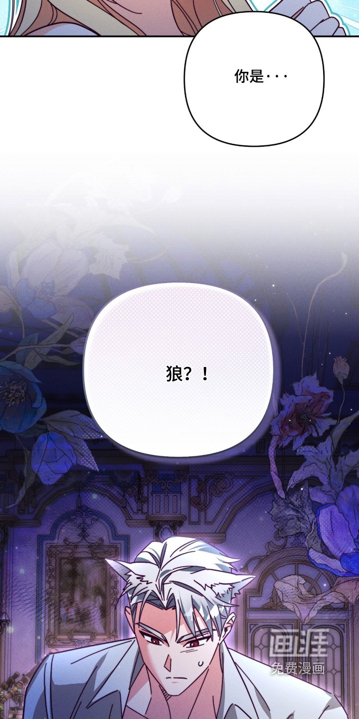 第29章：我是狼人