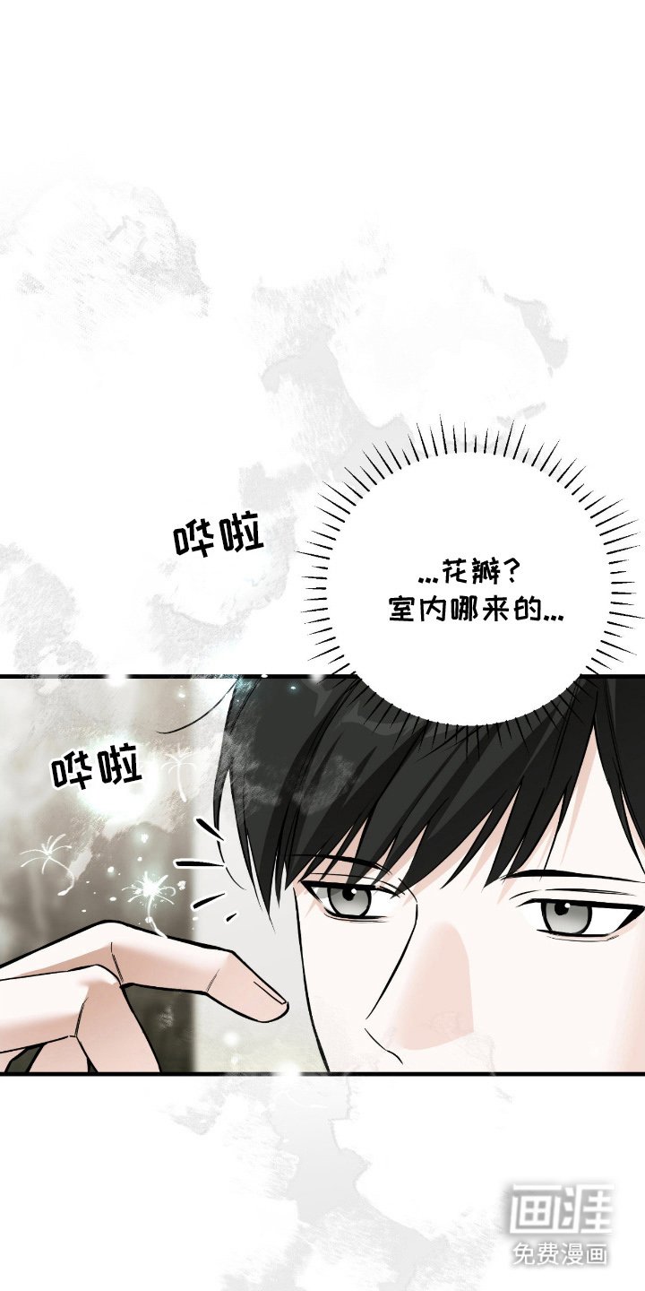 第10章：引导力