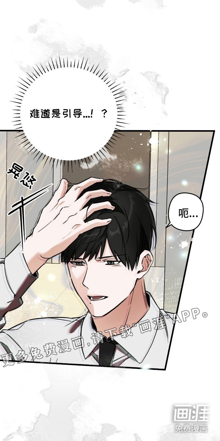 第10章：引导力