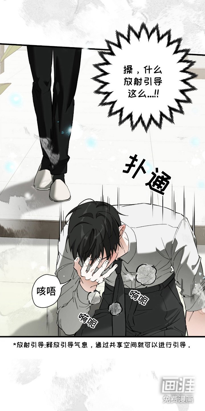 第10章：引导力