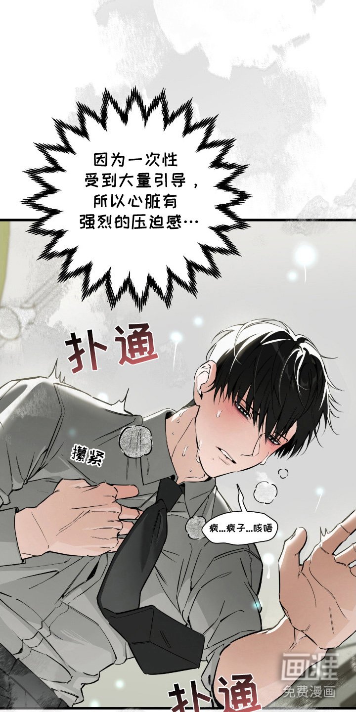 第10章：引导力