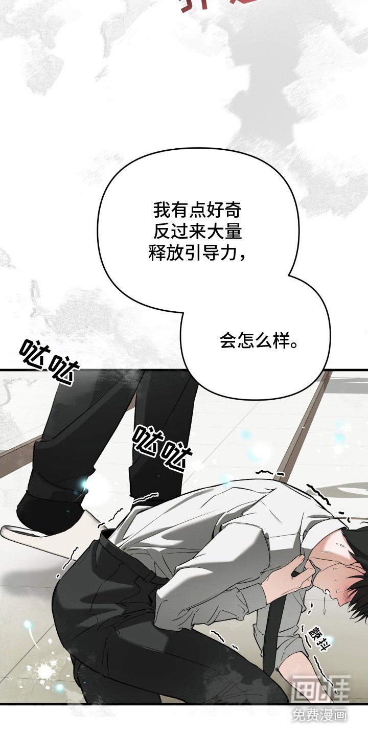 第10章：引导力